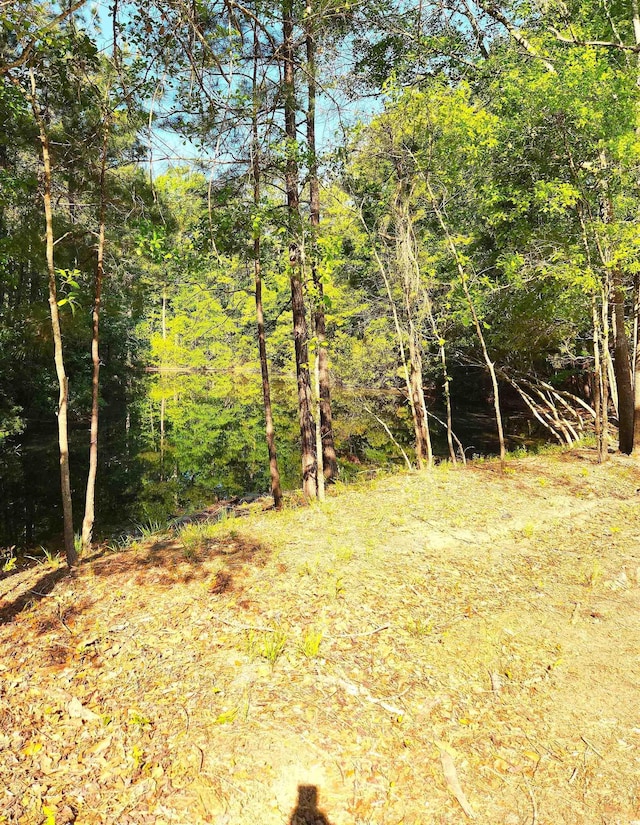 239 Madison Dr, Georgetown, SC 29440 - view of wooded area