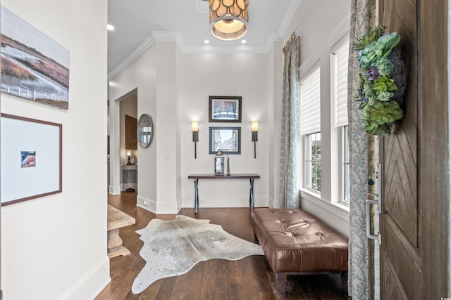 entryway featuring wood-type flooring and crown molding