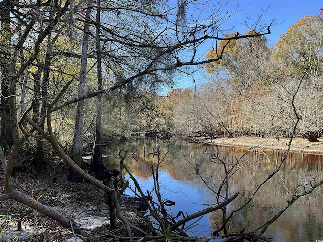 TBS Nathan Rd, Kingstree SC, 29556 land for sale