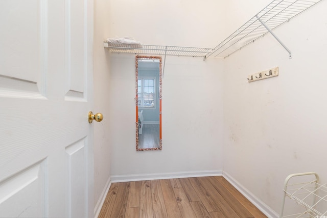 spacious closet with wood-type flooring