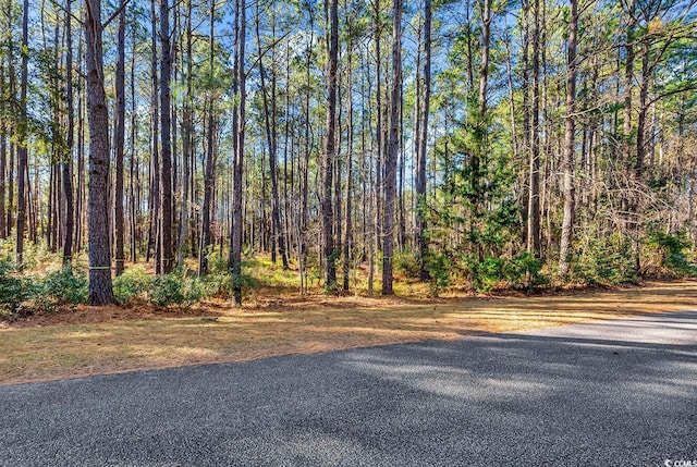 Listing photo 2 for 3153 Vanderbilt Blvd, Pawleys Island SC 29585