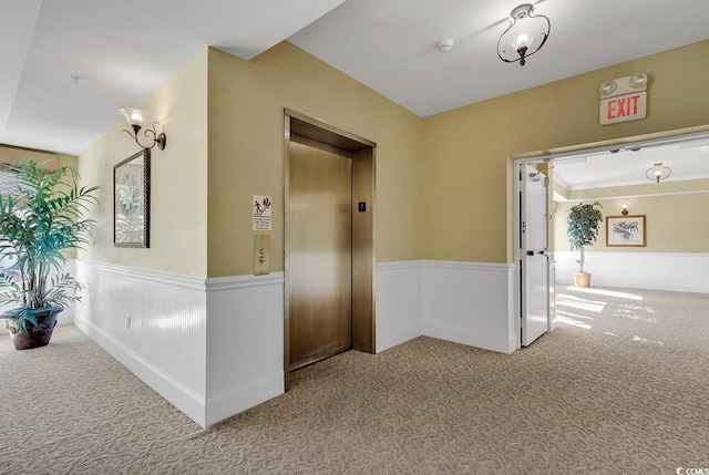 corridor featuring light colored carpet and elevator