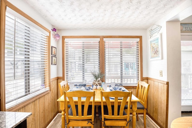 dining room with light wood-type flooring, a textured ceiling, and plenty of natural light