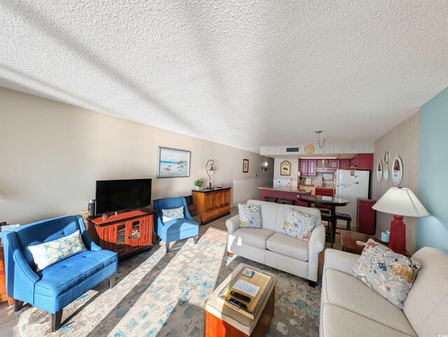 living room featuring a textured ceiling