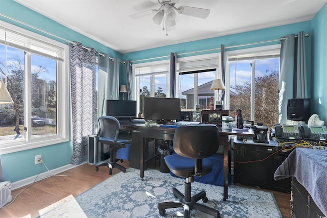 office featuring ceiling fan and wood-type flooring