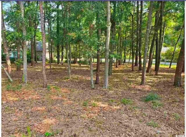 0000 Live Oak Dr, Little River SC, 29566 land for sale