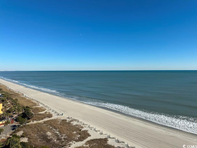 view of water feature featuring a beach view