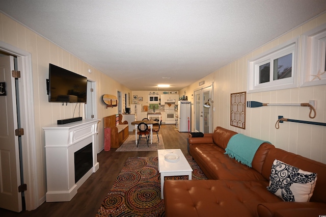 living room with dark hardwood / wood-style flooring