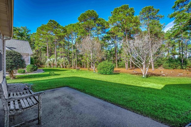 view of yard with a patio