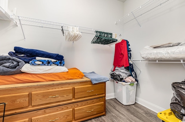 walk in closet featuring wood-type flooring