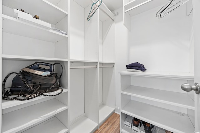 spacious closet with wood-type flooring