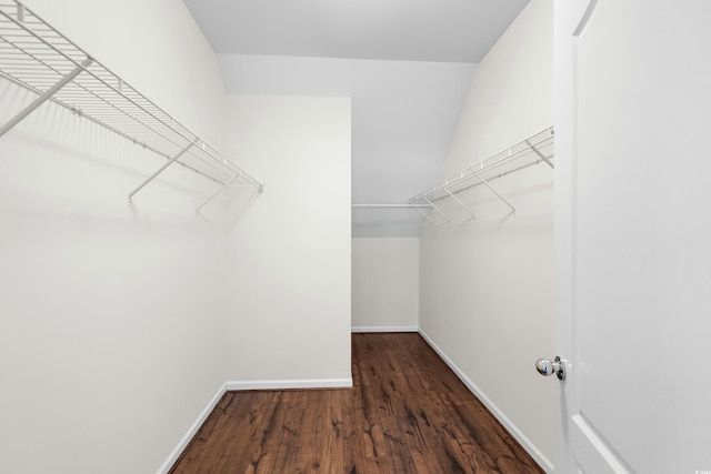 spacious closet with dark hardwood / wood-style floors