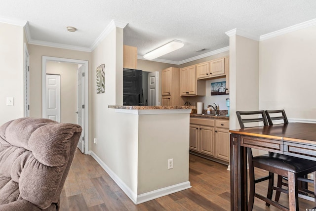 kitchen featuring dark hardwood / wood-style floors, light brown cabinets, sink, and a textured ceiling