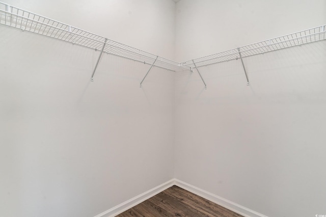 spacious closet featuring hardwood / wood-style flooring