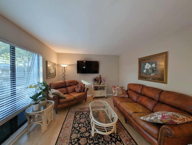 living room with light wood-type flooring