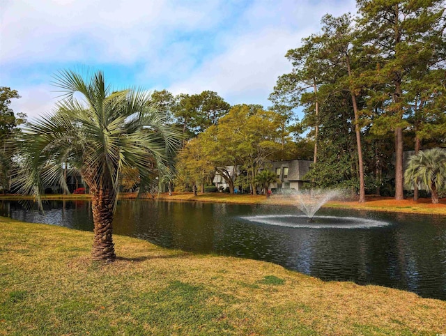 view of water feature