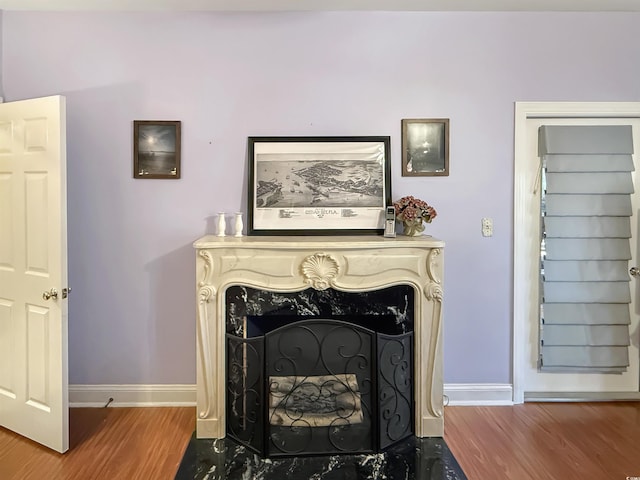 details featuring wood-type flooring and a fireplace