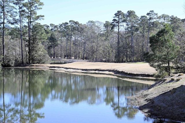 view of water feature