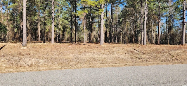 Listing photo 3 for 2759 Hagan Rd, Loris SC 29569