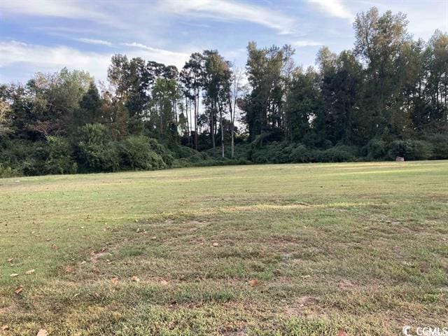 TBD E County Line Rd, Hemingway SC, 29554 land for sale