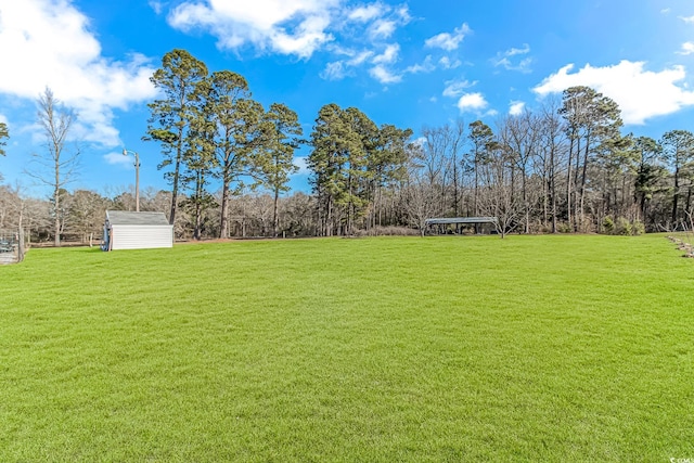 view of yard with a storage shed