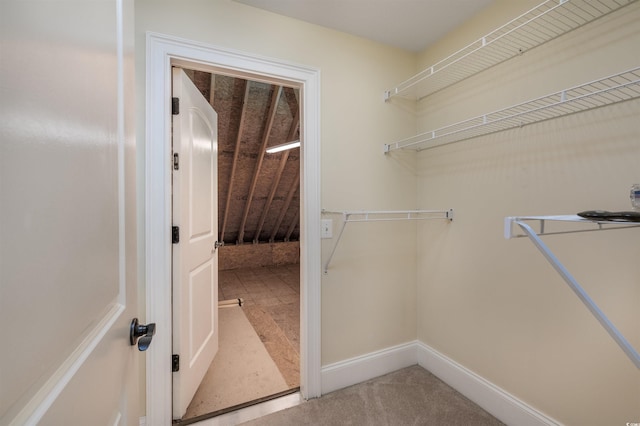 spacious closet with carpet flooring