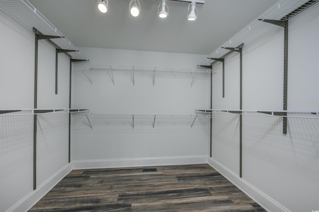 walk in closet with dark wood-type flooring