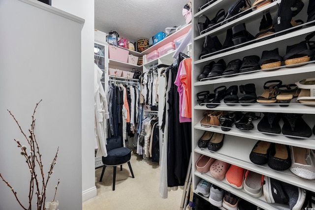 view of walk in closet