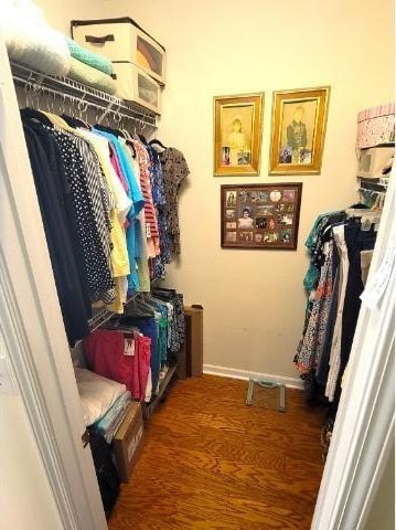 spacious closet with dark hardwood / wood-style flooring