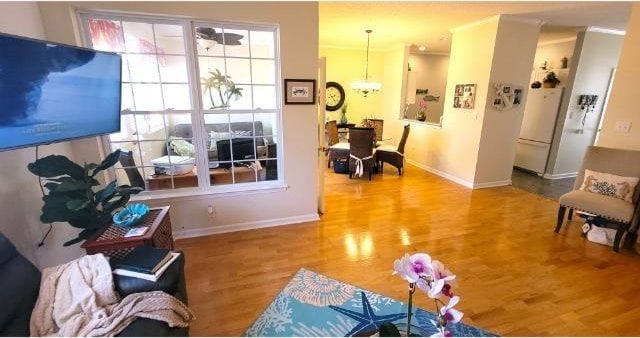 living room with ceiling fan and hardwood / wood-style flooring