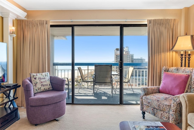 carpeted living room with plenty of natural light and a water view