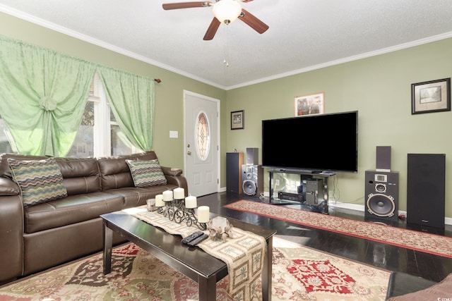 living room featuring wood-type flooring, a textured ceiling, ceiling fan, and crown molding