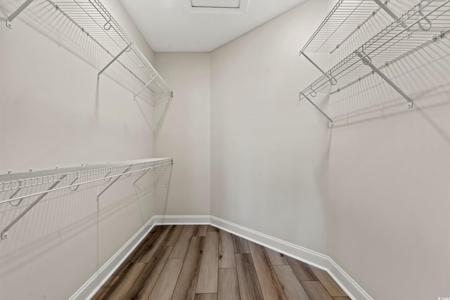 walk in closet with hardwood / wood-style flooring