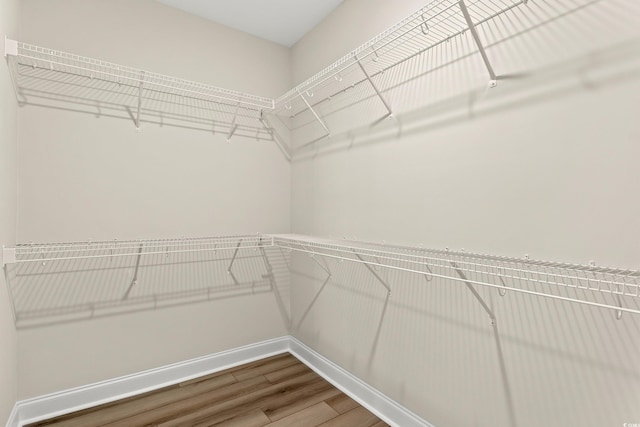 walk in closet with hardwood / wood-style floors