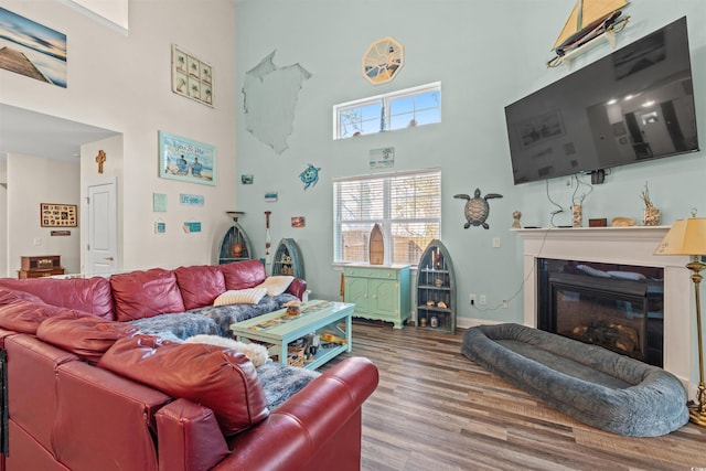 living room featuring a high ceiling and wood-type flooring