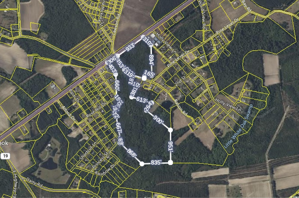 TBD Highway 701, Loris, SC 29569