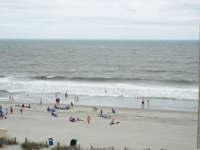 water view featuring a beach view