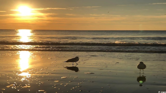 1207 S Ocean Blvd Unit 20207, Myrtle Beach, SC 29577 - water view