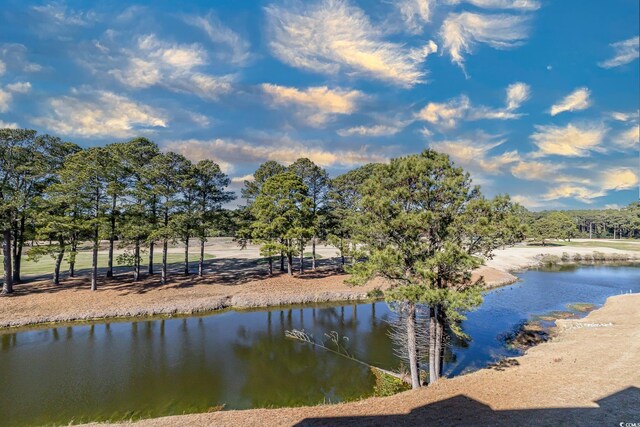 view of water feature