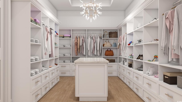 spacious closet featuring light hardwood / wood-style floors