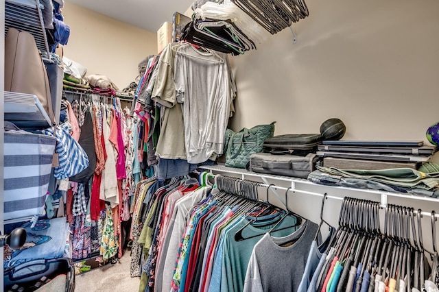 walk in closet with carpet flooring