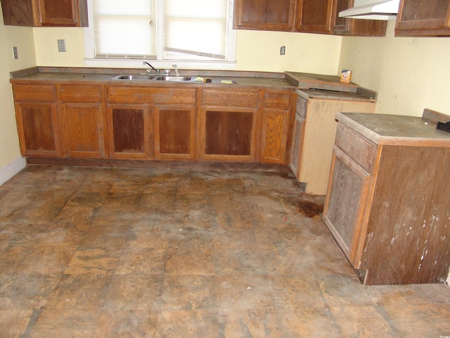 kitchen with ventilation hood and sink