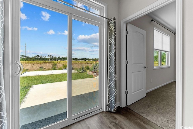 doorway with hardwood / wood-style floors and plenty of natural light