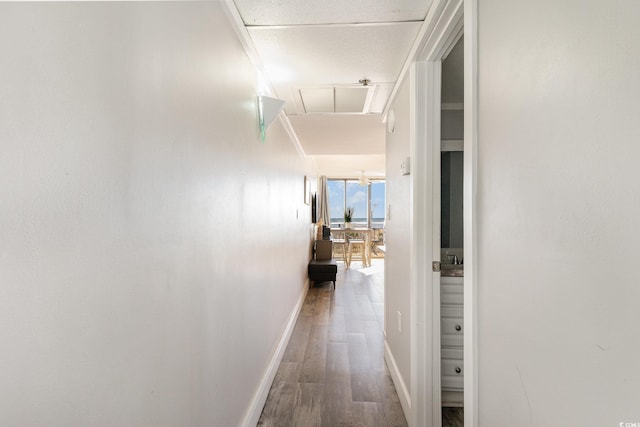 hallway with hardwood / wood-style flooring