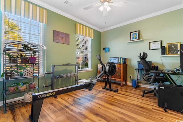 workout area featuring ceiling fan, light hardwood / wood-style floors, and ornamental molding