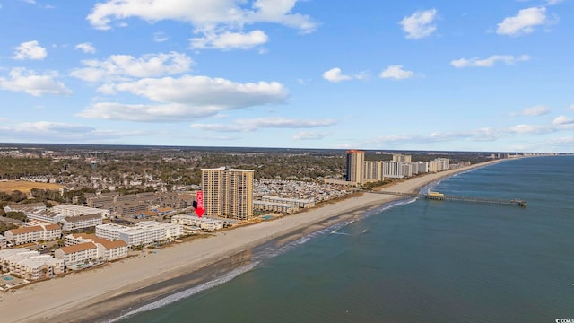 drone / aerial view with a water view and a view of the beach