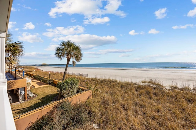 water view with a view of the beach