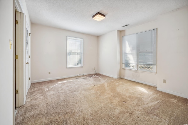 spare room with a wealth of natural light, light colored carpet, and a textured ceiling