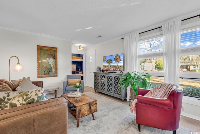 living room with hardwood / wood-style floors, ornamental molding, and a textured ceiling