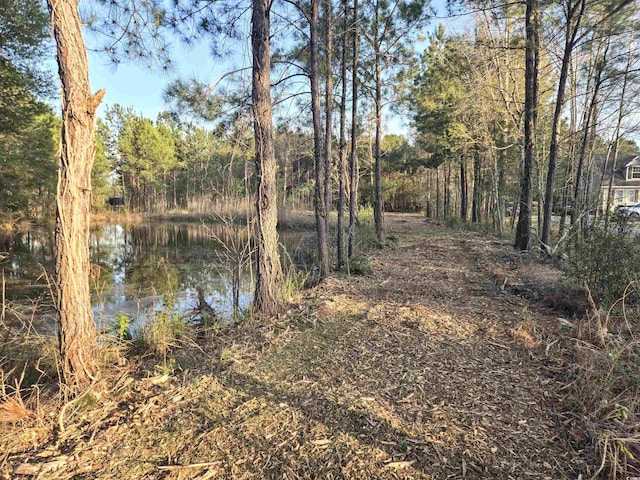 Listing photo 3 for TBD Highway 905, Longs SC 29568